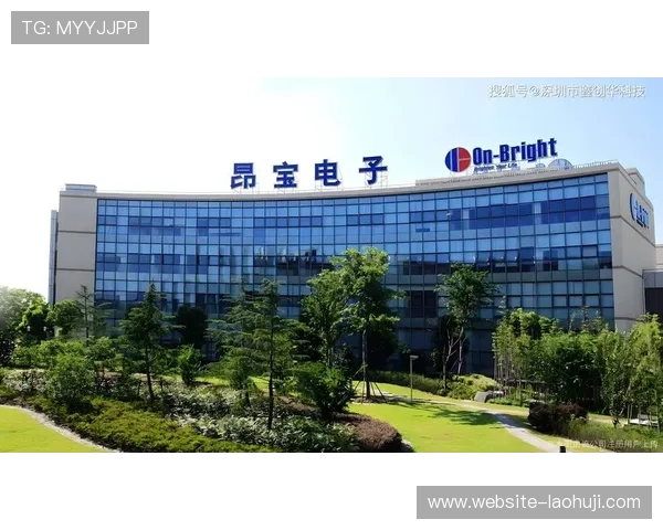 昂宝电子上海有限公司的供应链管理与成本控制优化措施